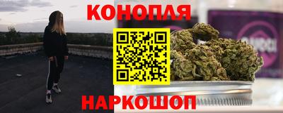 гашик Бузулук